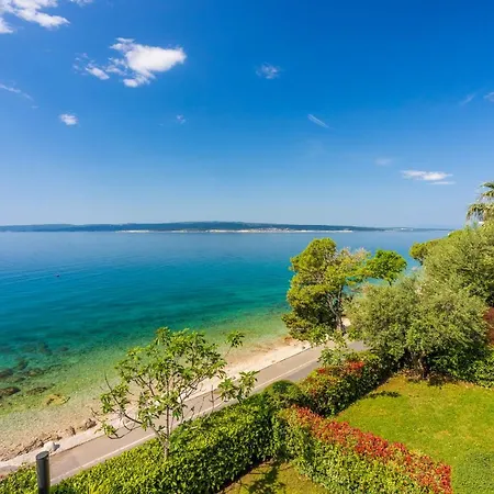 Heta Alagic Iii 셀스