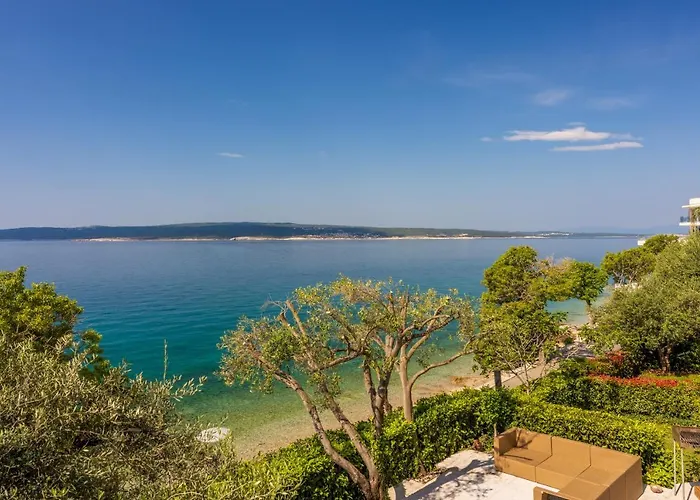 Heta Alagic Iii * セルツェ